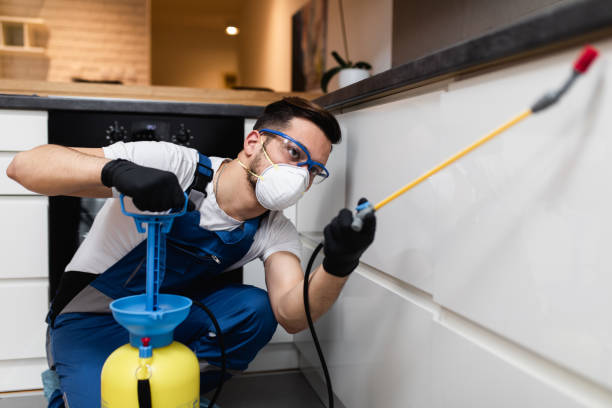 Best Local Pest Control Services  in Meridian Village, CO