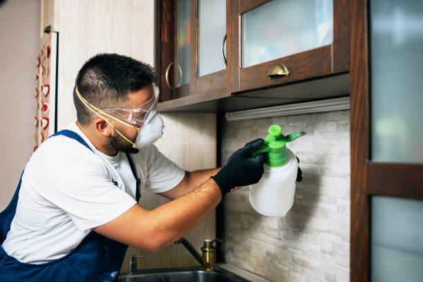 Pest Prevention Services in Meridian Village, CO