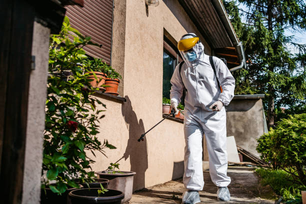 Best Wildlife Control Services  in Meridian Village, CO