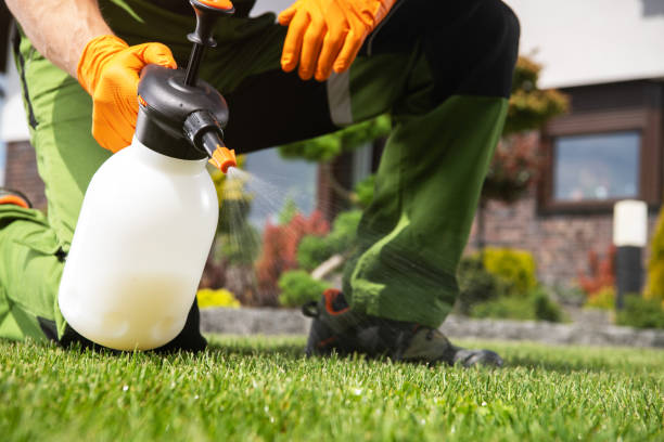Best Pest Removal Services  in Meridian Village, CO