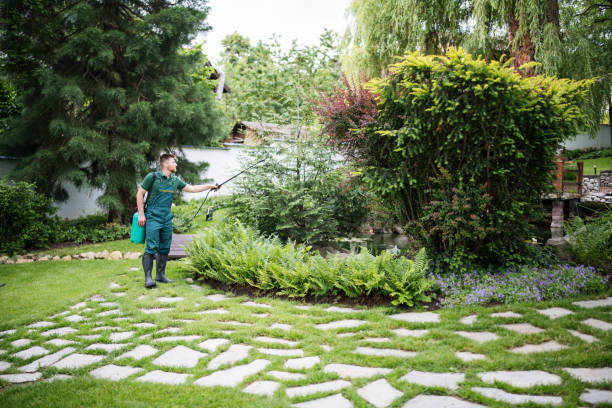 Reliable Meridian Village, CO Pest Control Solutions