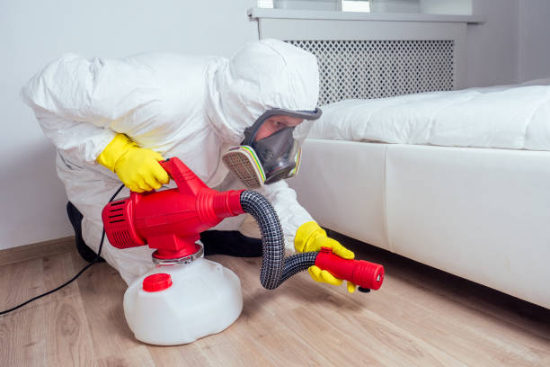 Best Affordable Pest Control Services  in Meridian Village, CO