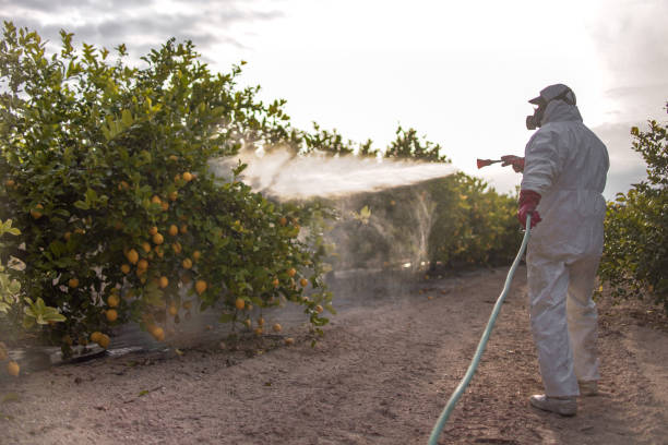 Best Pest Control for Homes  in Meridian Village, CO