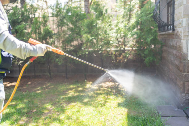Best Termite Control Services  in Meridian Village, CO