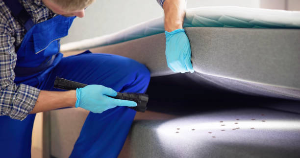 Best Pest Prevention Services  in Meridian Village, CO