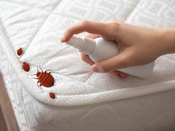 Best Pest Control for Businesses  in Meridian Village, CO