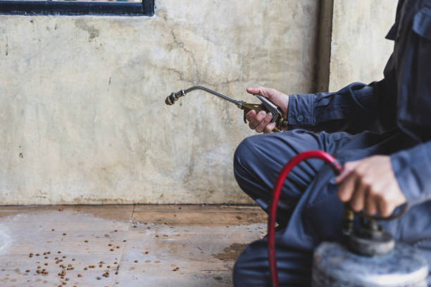 Best Pest Control for Restaurants  in Meridian Village, CO